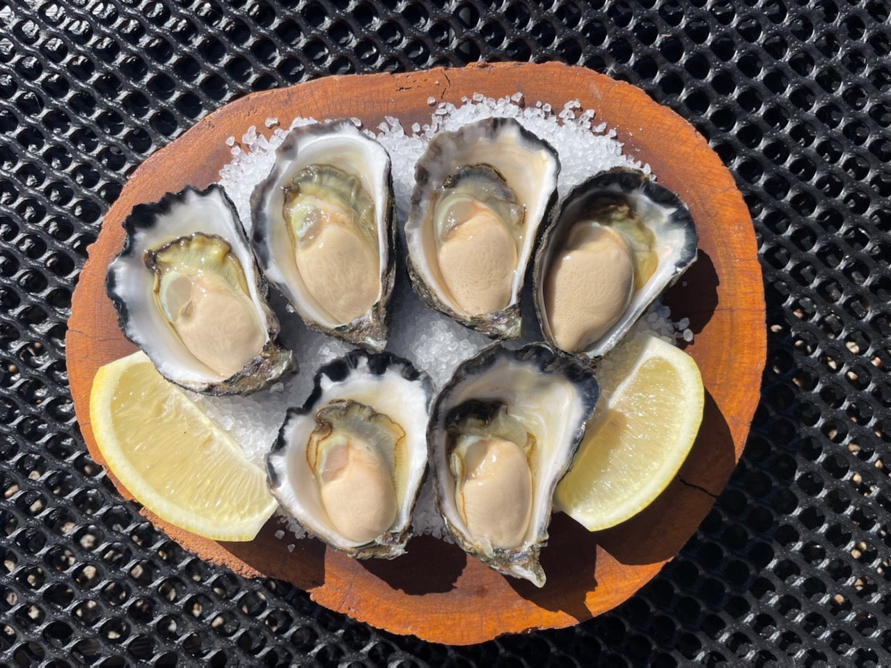 Sydney Rock Oyster & Medium Prawns -