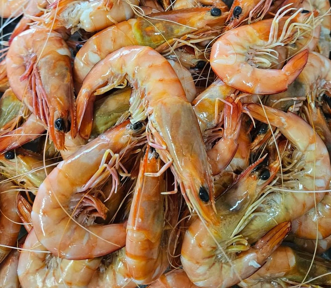 Sydney Rock Oyster & Medium Prawns -